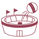 Mini Stadium